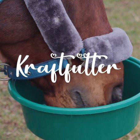Futter gabe für ihr Pferd 